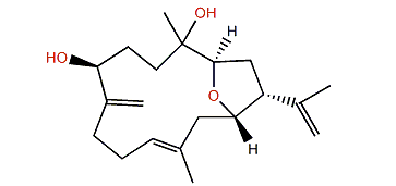 Lobophylin F